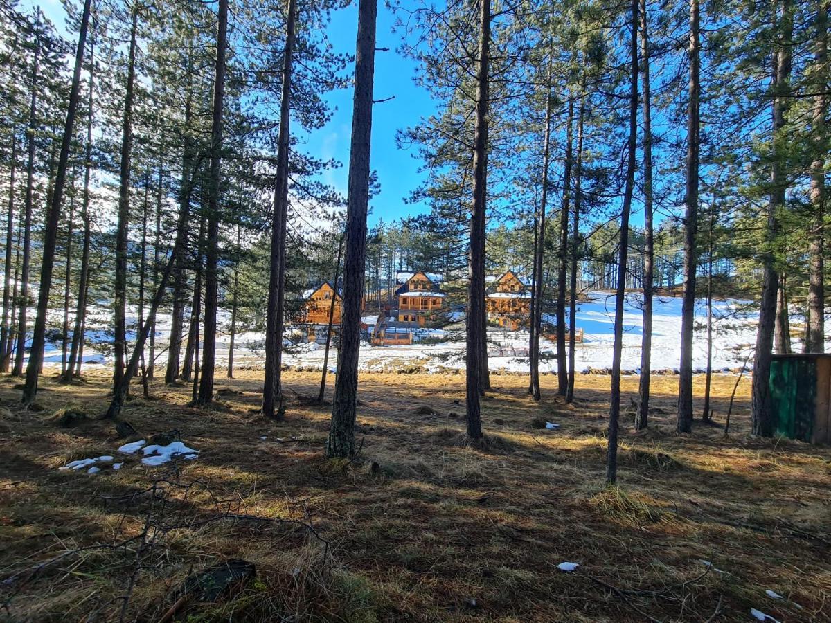 Tornik Studio Zlatibor Zewnętrze zdjęcie
